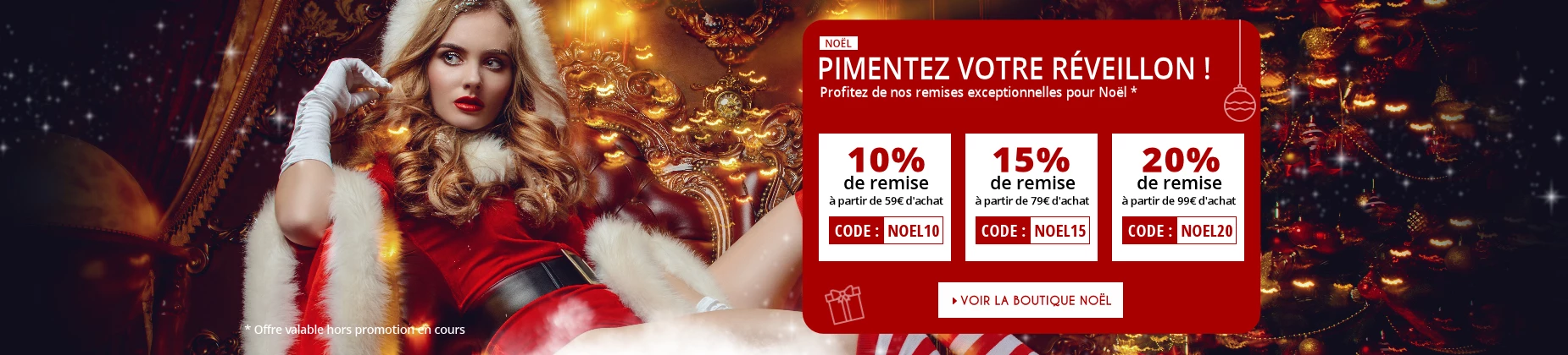 Offrez du plaisir pour Noël - Découvrez nos promos spéciales sur les lovetoys et la lingerie sexy